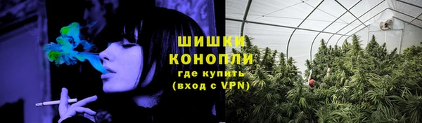 шишки Баксан