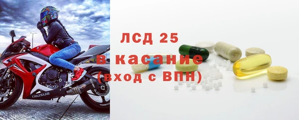 шишки Баксан
