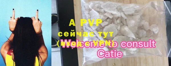 шишки Баксан