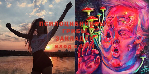мдпв Пестово