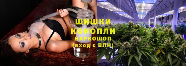 шишки Баксан