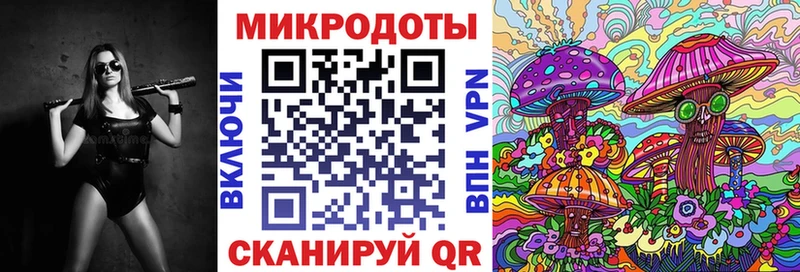blacksprut ссылки  Светогорск  Галлюциногенные грибы Psilocybine cubensis 